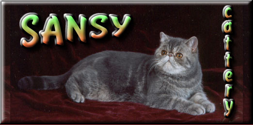 SANSY Banner